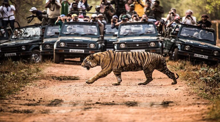 Overcrowded safari zone in Jim Corbett National Park