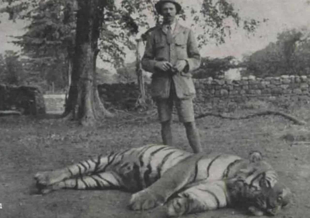 Champawat Tigress blamed for over 400 human deaths in Kumaon forests