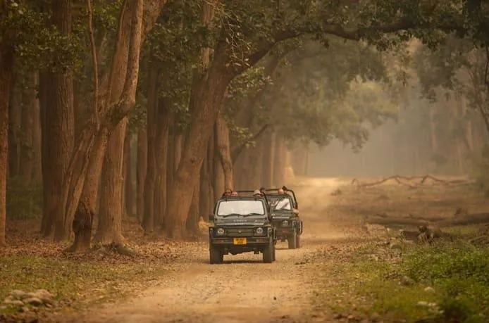 Thumbnail for What Most Guests Don't Realize About Jim Corbett Before They Arrive