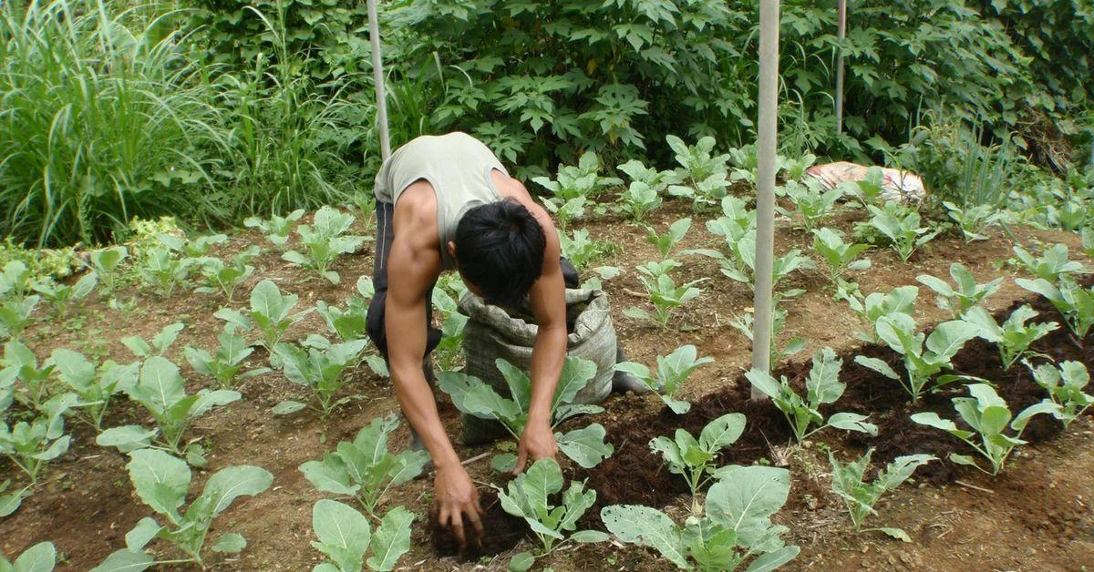 Thumbnail for Organic Farm Experience Near Jim Corbett – Farm-to-Table Living