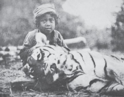 Thak man-eating tigress hunted by Jim Corbett in Uttarakhand forests