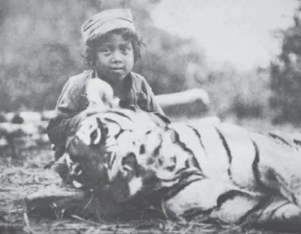 Thak man-eating tigress hunted by Jim Corbett in Uttarakhand forests