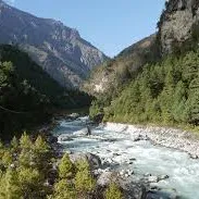 Peaceful riverbank of Kosi River with forest background