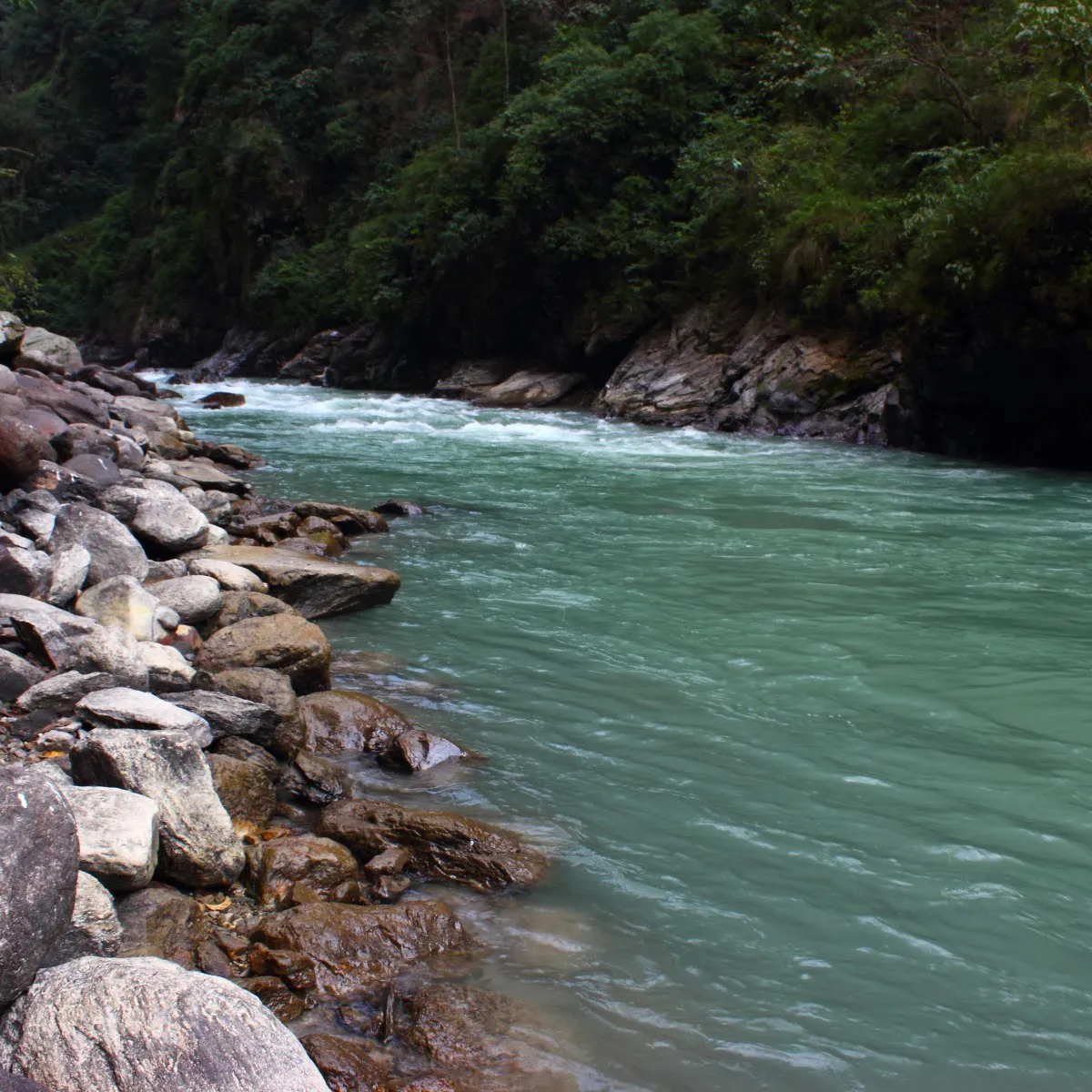 Evening view of Kosi River with Himalayan foothill backdrop
