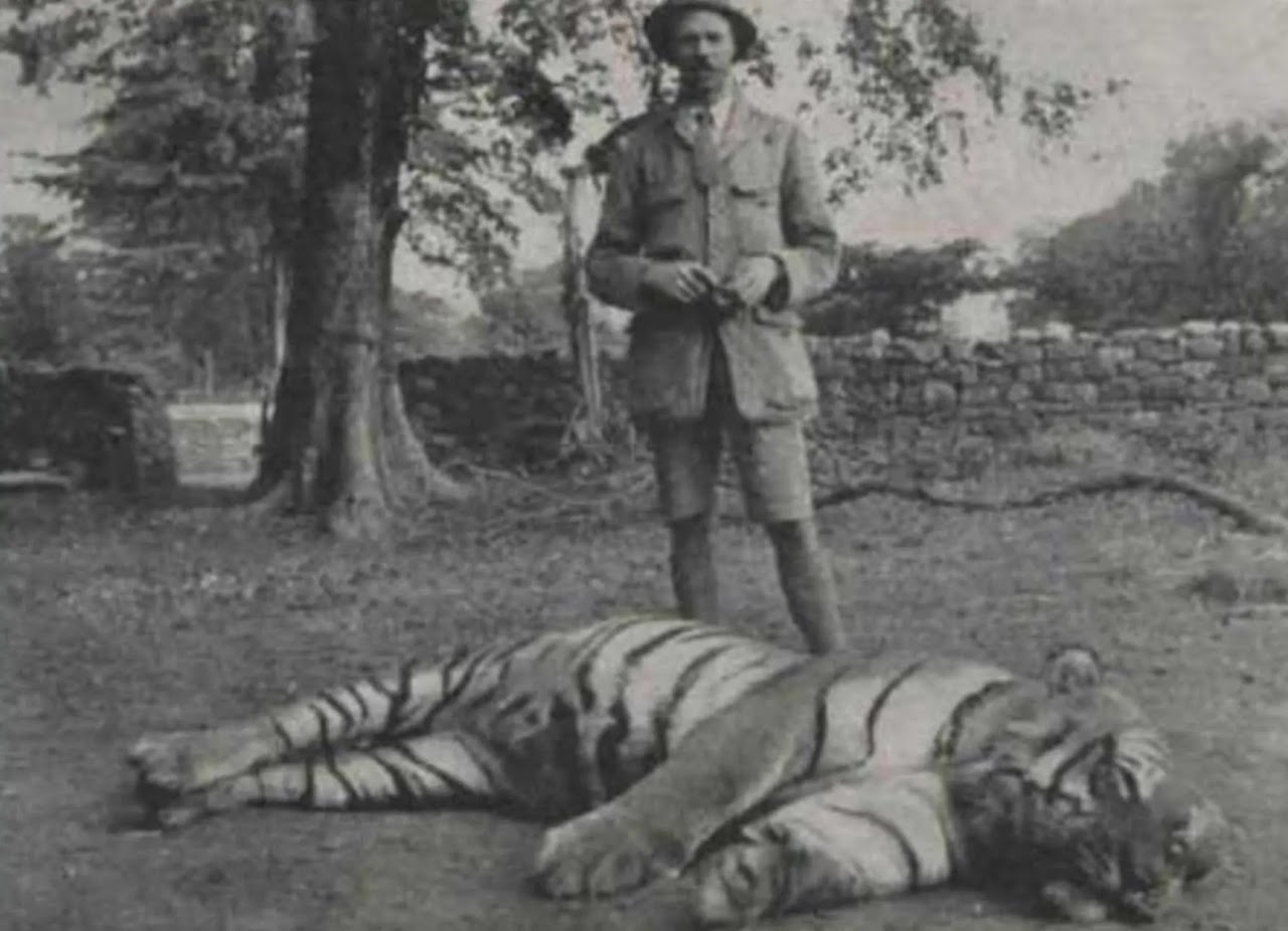 Historical photograph of Jim Corbett with tiger in Kumaon region