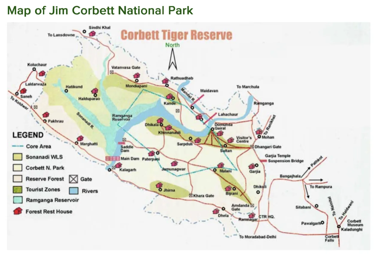 Thumbnail for Jim Corbett Safari Zones: Which Zone Should You Actually Choose?